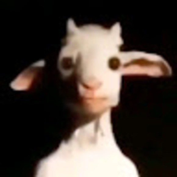 Poshmark profile picture for @niggers